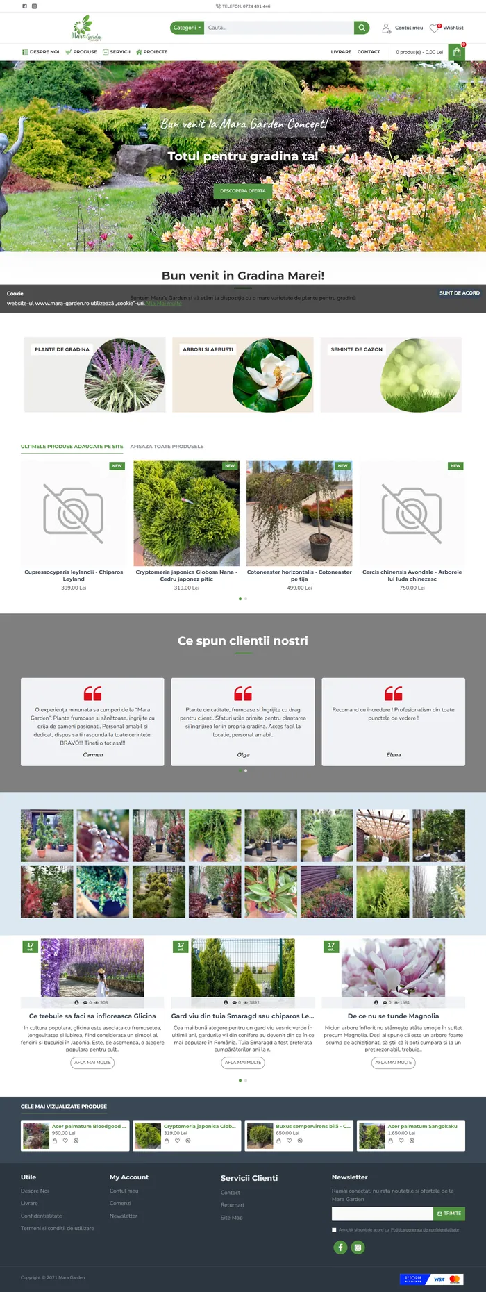 Vechea pagină de start: produse fără fotografie și blocuri gri